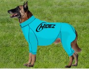 TURQUOISE