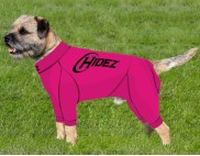 FUCHSIA