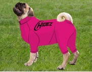 FUCHSIA