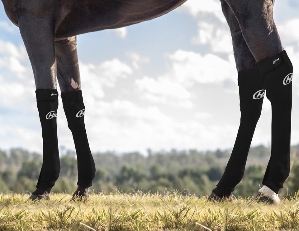 EQUINE SEAMLESS COMPRESSION SOCK BLACK