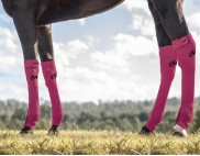 EQUINE SEAMLESS COMPRESSION SOCK FUCHSIA