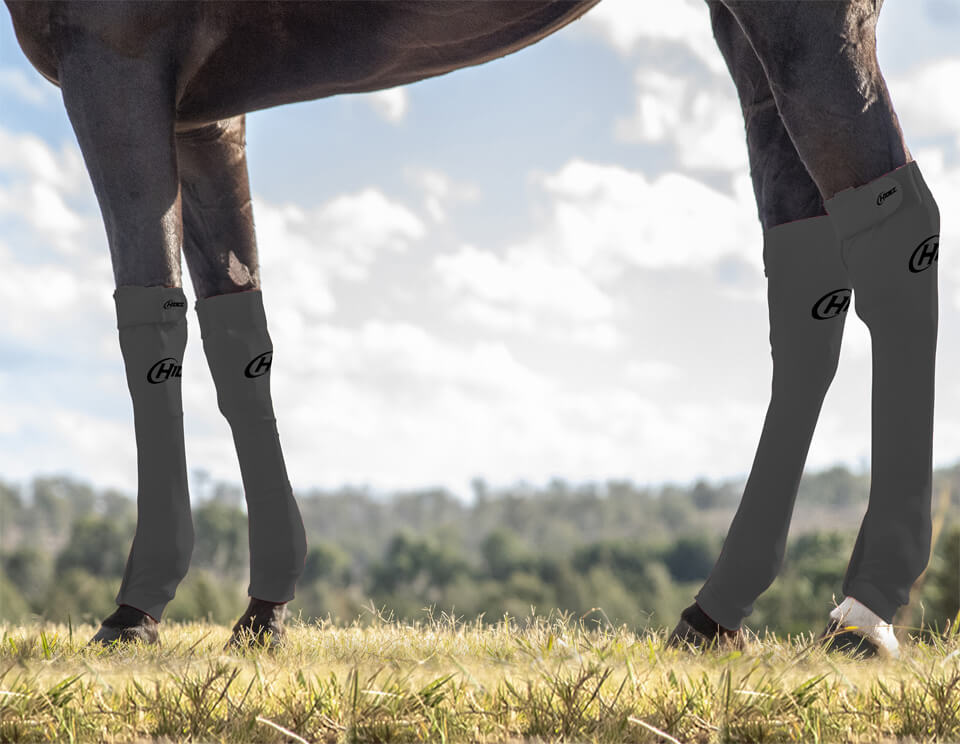 EQUINE SEAMLESS COMPRESSION SOCK GREY