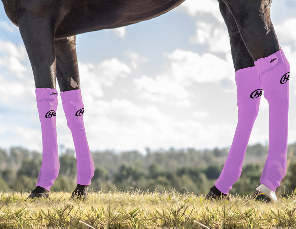 EQUINE SEAMLESS COMPRESSION SOCK LAVENDER