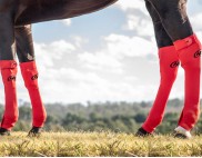 EQUINE SEAMLESS COMPRESSION SOCK RED