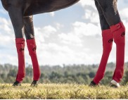 EQUINE SEAMLESS COMPRESSION SOCK RED