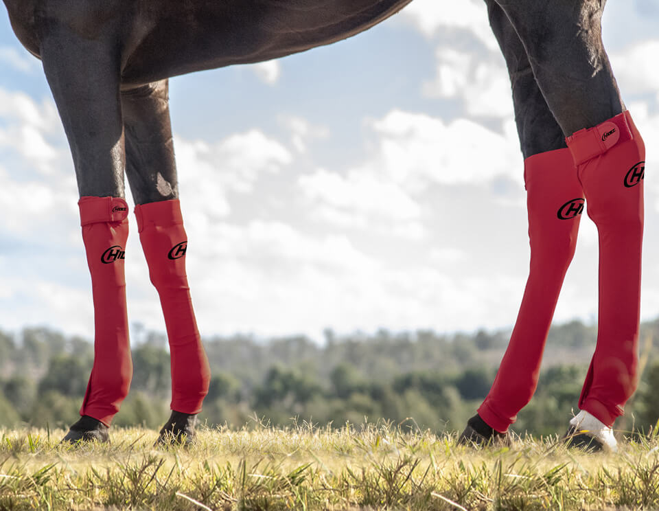 EQUINE SEAMLESS COMPRESSION SOCK RED