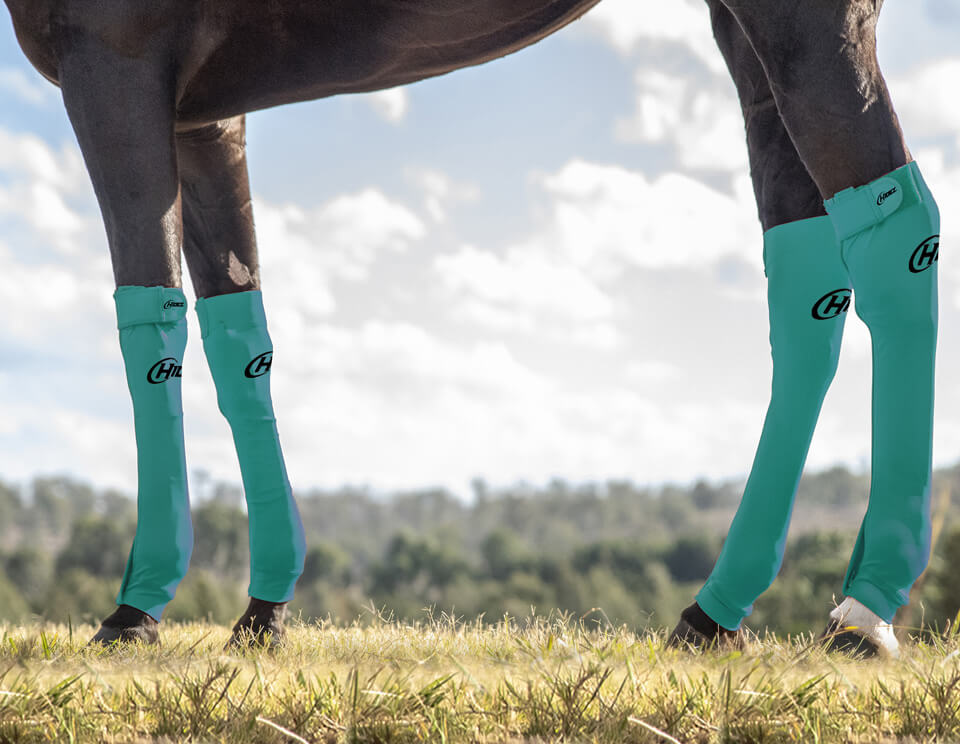 EQUINE SEAMLESS COMPRESSION SOCK TURQUOISE