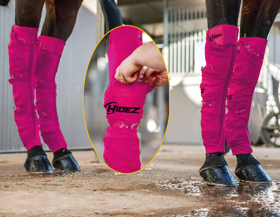 EQUINE SEAMLESS ICE COMPRESSION SOCK FUCHSIA