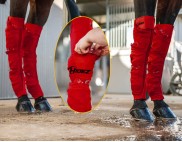 EQUINE SEAMLESS ICE COMPRESSION SOCK RED