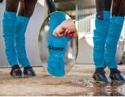 EQUINE SEAMLESS ICE COMPRESSION SOCK TURQUOISE