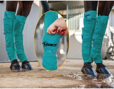 TURQUOISE
