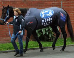 BLACK CAVIAR WITH HANDLER