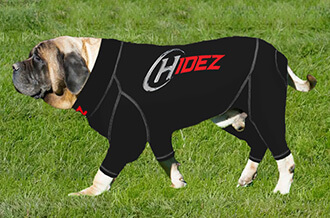 English mastiff clothes hotsell