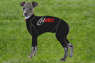 Hidez Greyhound Compression Suit