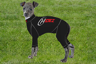 compression suits for cannie all breeds