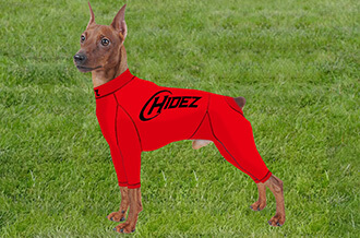 compression suits for cannie all breeds