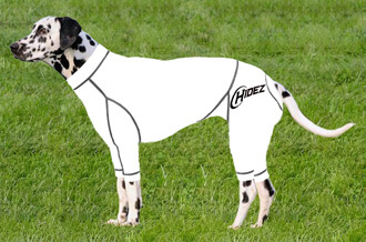 compression suits for cannie all breeds