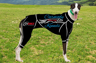 Hidez Greyhound Compression Suit