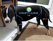 CANINE COMPRESSION ANXIETY SUIT AMERICAN STAFFY