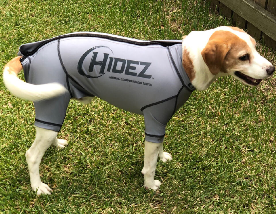 CANINE COMPRESSION ANXIETY SUIT GREY