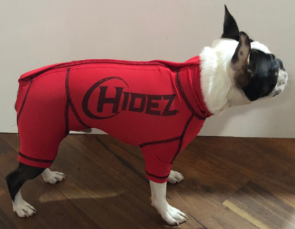 CANINE COMPRESSION ANXIETY SUIT RED