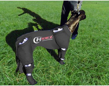 GREYHOUND ICE COMPRESSION SUIT BLACK