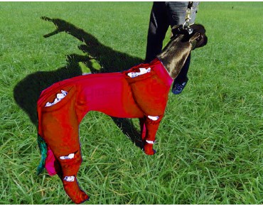 GREYHOUND ICE COMPRESSION SUIT RED GREYHOUND ICE COMPRESSION SUIT RED