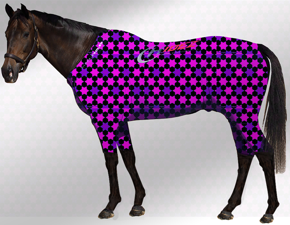 EQUINE ACTIVE  SUIT PRINTED