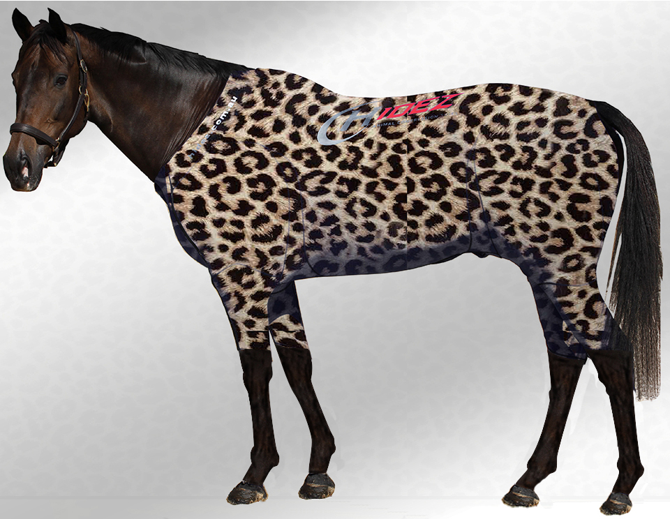 EQUINE ACTIVE  SUIT PRINTED CHEETAH