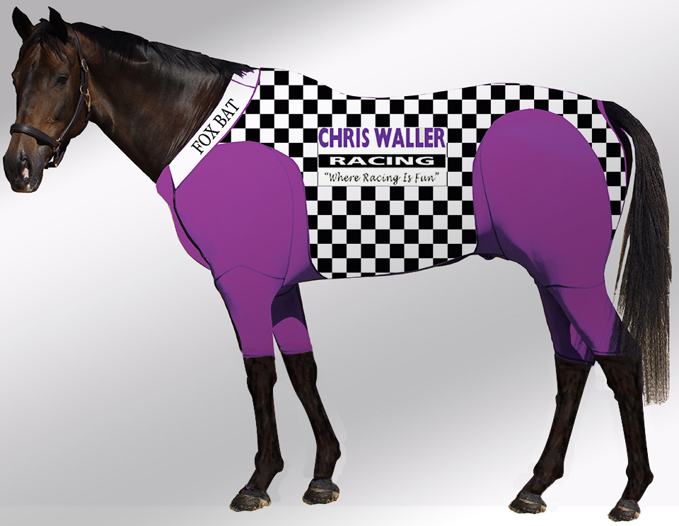 EQUINE ACTIVE  SUIT PRINTED