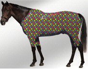 EQUINE ACTIVE  SUIT PRINTED FLORA