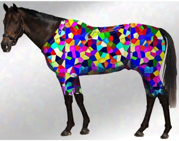 EQUINE ACTIVE  SUIT PRINTED KALEIDOSCOPE