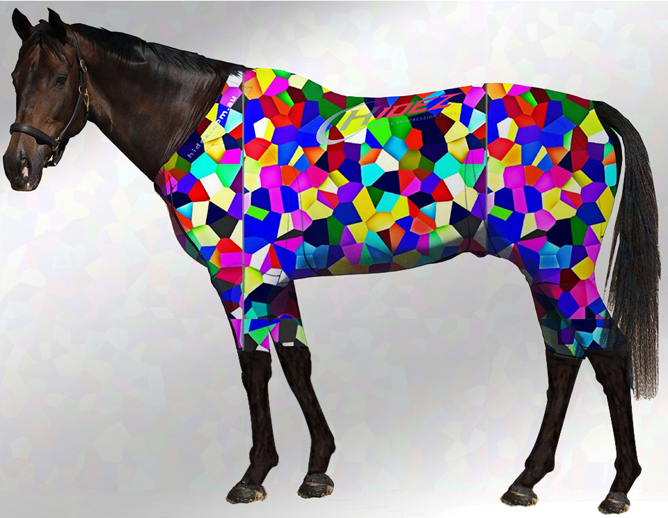 EQUINE ACTIVE  SUIT PRINTED KALEIDOSCOPE