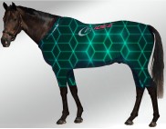 EQUINE ACTIVE  SUIT PRINTED NEON SQUARES