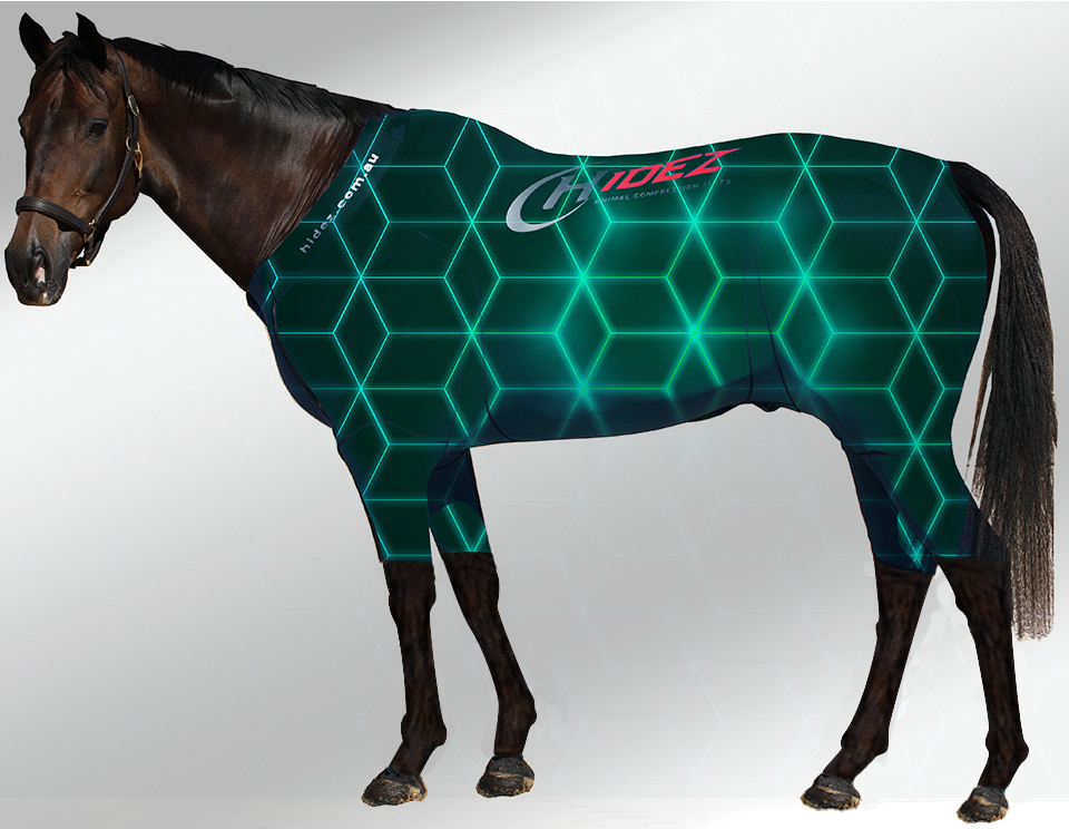 EQUINE ACTIVE  SUIT PRINTED NEON SQUARES