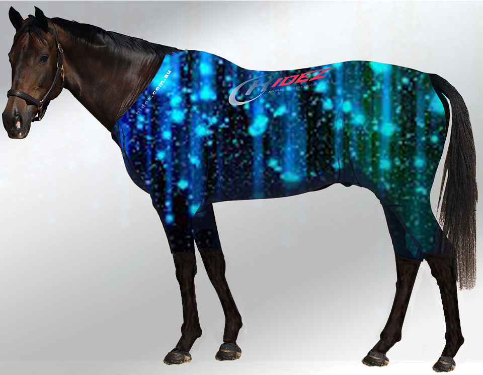 EQUINE ACTIVE  SUIT PRINTED NIGHT ROCKS