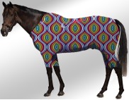 EQUINE ACTIVE  SUIT PRINTED SEAMLESS