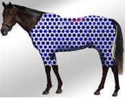 EQUINE ACTIVE  SUIT PRINTED STARS WHITE-BLUE-NAVY