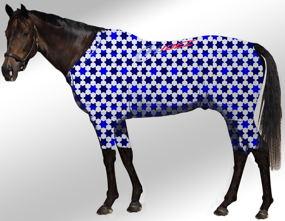 EQUINE ACTIVE  SUIT PRINTED STARS WHITE-BLUE-NAVY