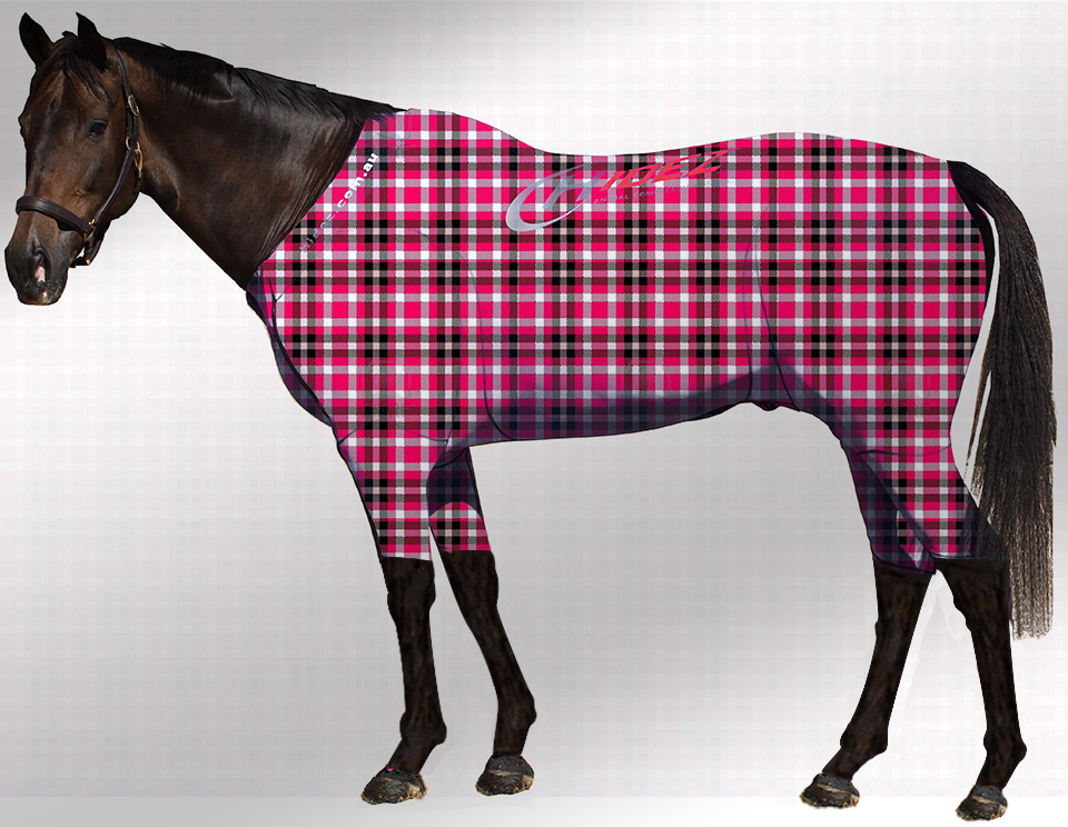 EQUINE ACTIVE SUIT PRINTED TARTAN PINK EQUINE ACTIVE SUIT PRINTED TARTAN PINK