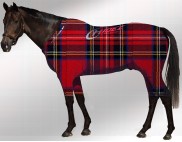 EQUINE ACTIVE  SUIT PRINTED TARTAN RED