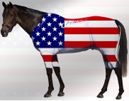 EQUINE ACTIVE  SUIT PRINTED USA STARS & STRIPES