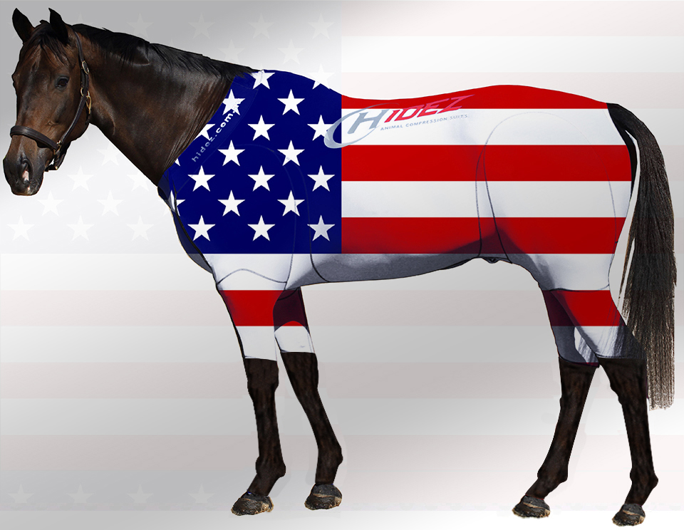 EQUINE ACTIVE  SUIT PRINTED USA STARS & STRIPES