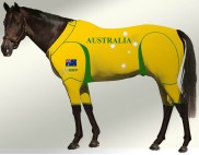 EQUINE ACTIVE SUIT PRINTED AUSTRALIA