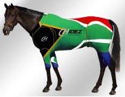 EQUINE SUIT PRINNTED AFRICA