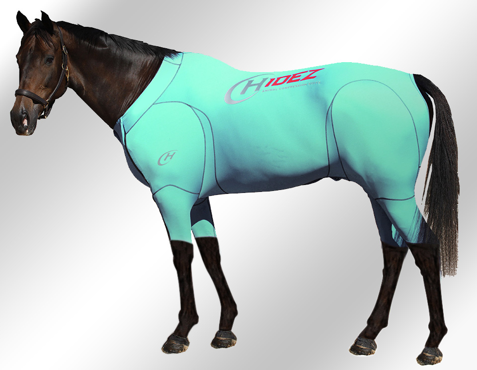 EQUINE-ACTIVE-SUIT-AQUAMARINE