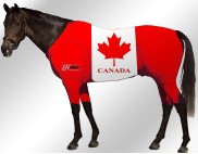 EQUINE-ACTIVE-SUIT-PRINTED-CANADA