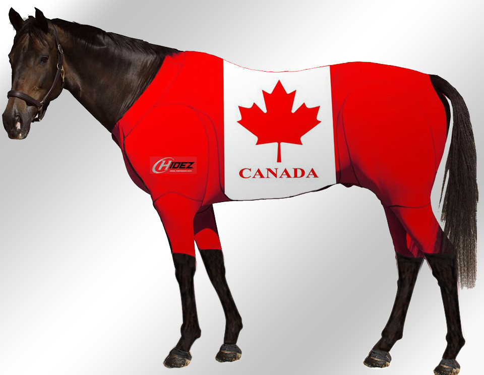 EQUINE-ACTIVE-SUIT-PRINTED-CANADA