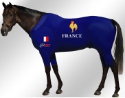 EQUINE-ACTIVE-SUIT-PRINTED-FRANCE