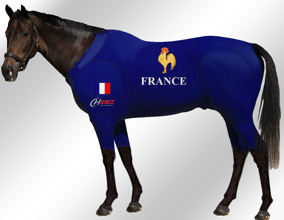 EQUINE-ACTIVE-SUIT-PRINTED-FRANCE